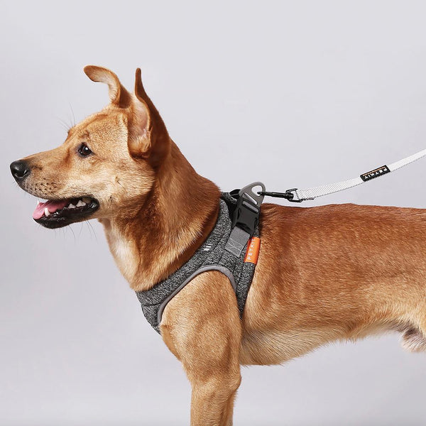Instachew PETKIT Air Pro Dog Harness